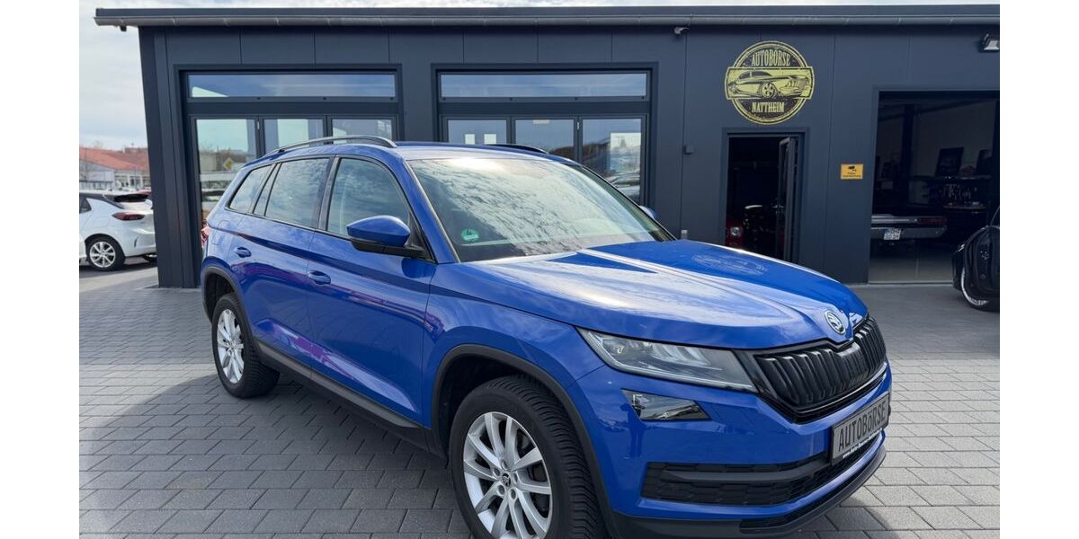 Skoda Kodiaq 173.000 km 17.999 &euro; Nattheim 89564