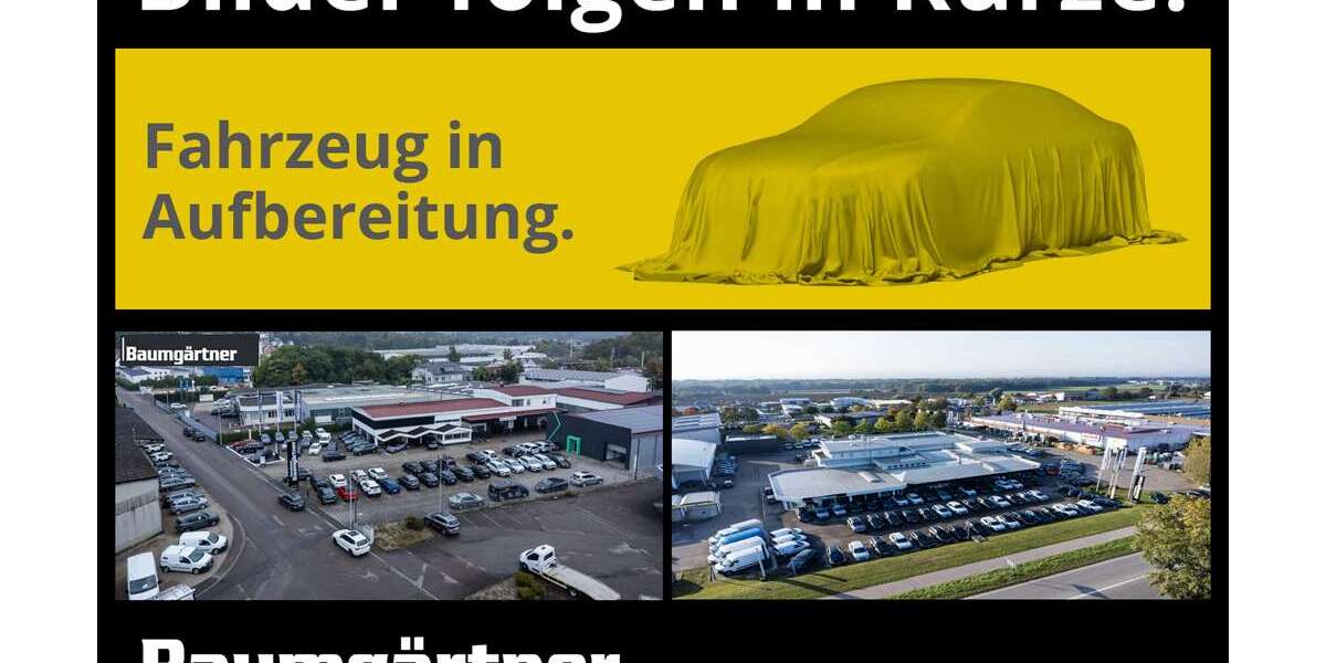 Renault Trafic 42.101 km 28.980 &euro; Giengen 89537