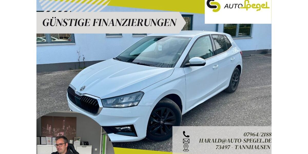 Skoda Fabia 18.156 km 16.390 &euro; Tannhausen 73497