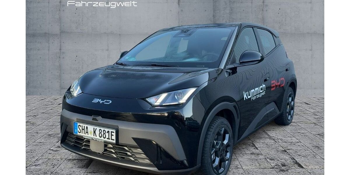 BYD DOLPHIN 5.000 km 21.490 &euro; Aalen-Dauerwang 73457