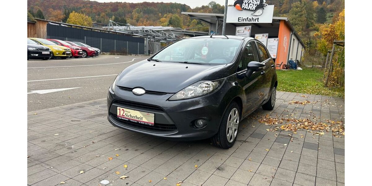 Ford Fiesta 129.431 km 3.999 &euro; Schnaitheim-Heidenheim 89520