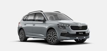 Gebrauchte Skoda Kamiq