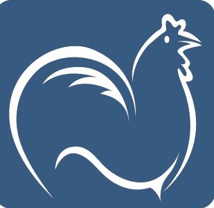 Porsche Taycan 30.000 km 91.700 &euro; Essingen­­­ 73457